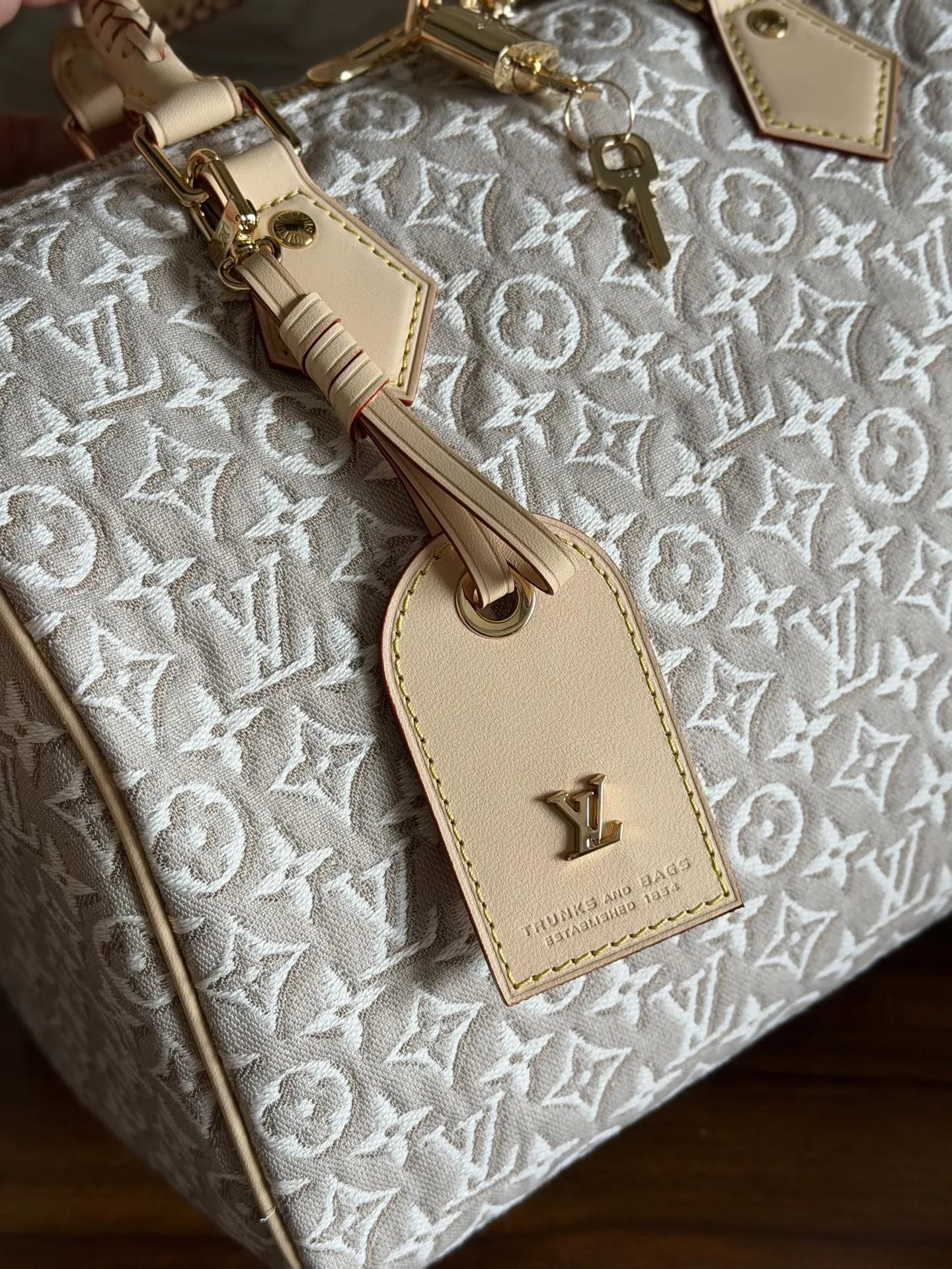 Louis Vuitton White Organizer Pouch Travel Canvas