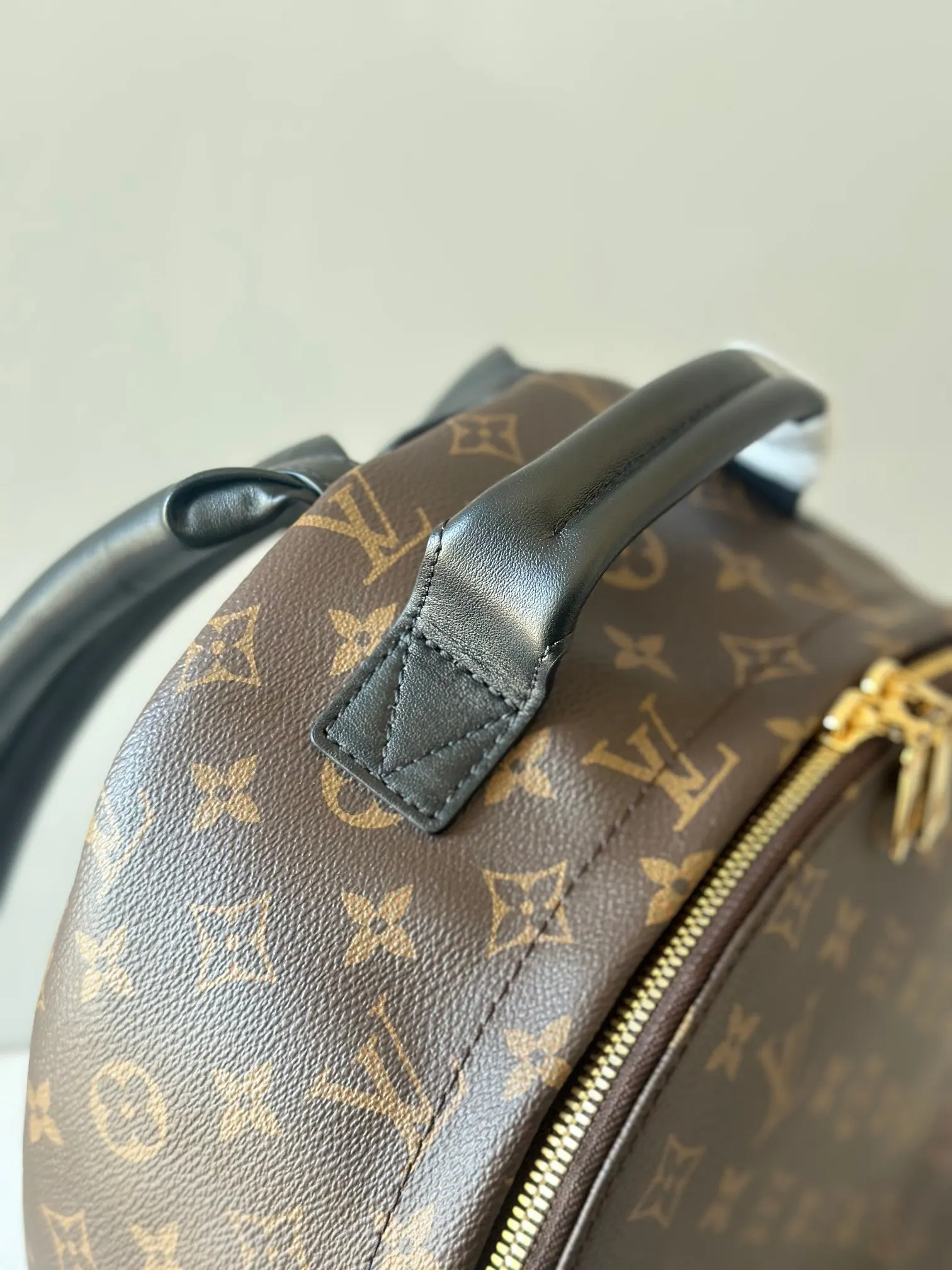 Backpack Leather