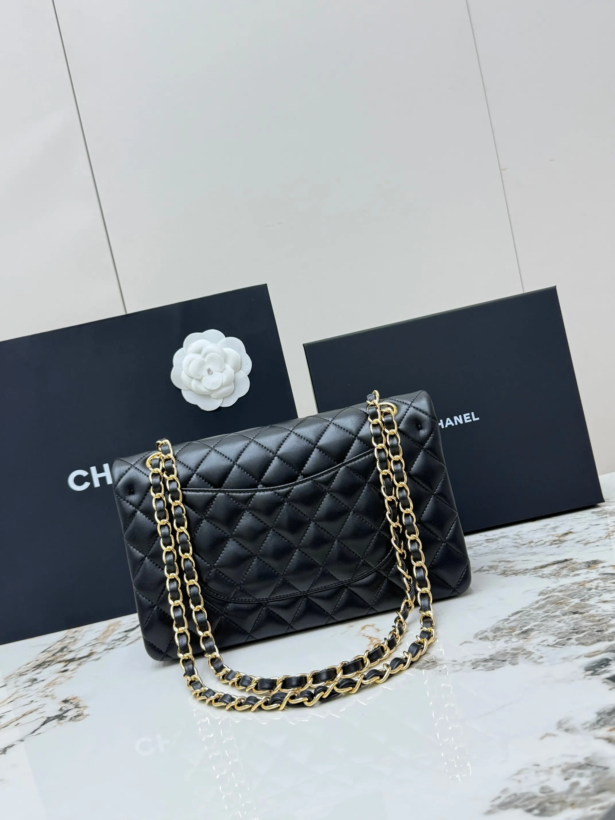 Gold Chain Bag