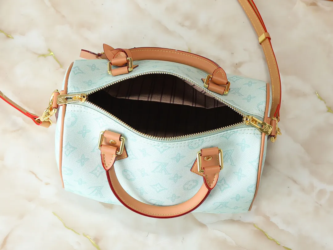LV Speedy 牛皮 收纳包 旅行收纳款