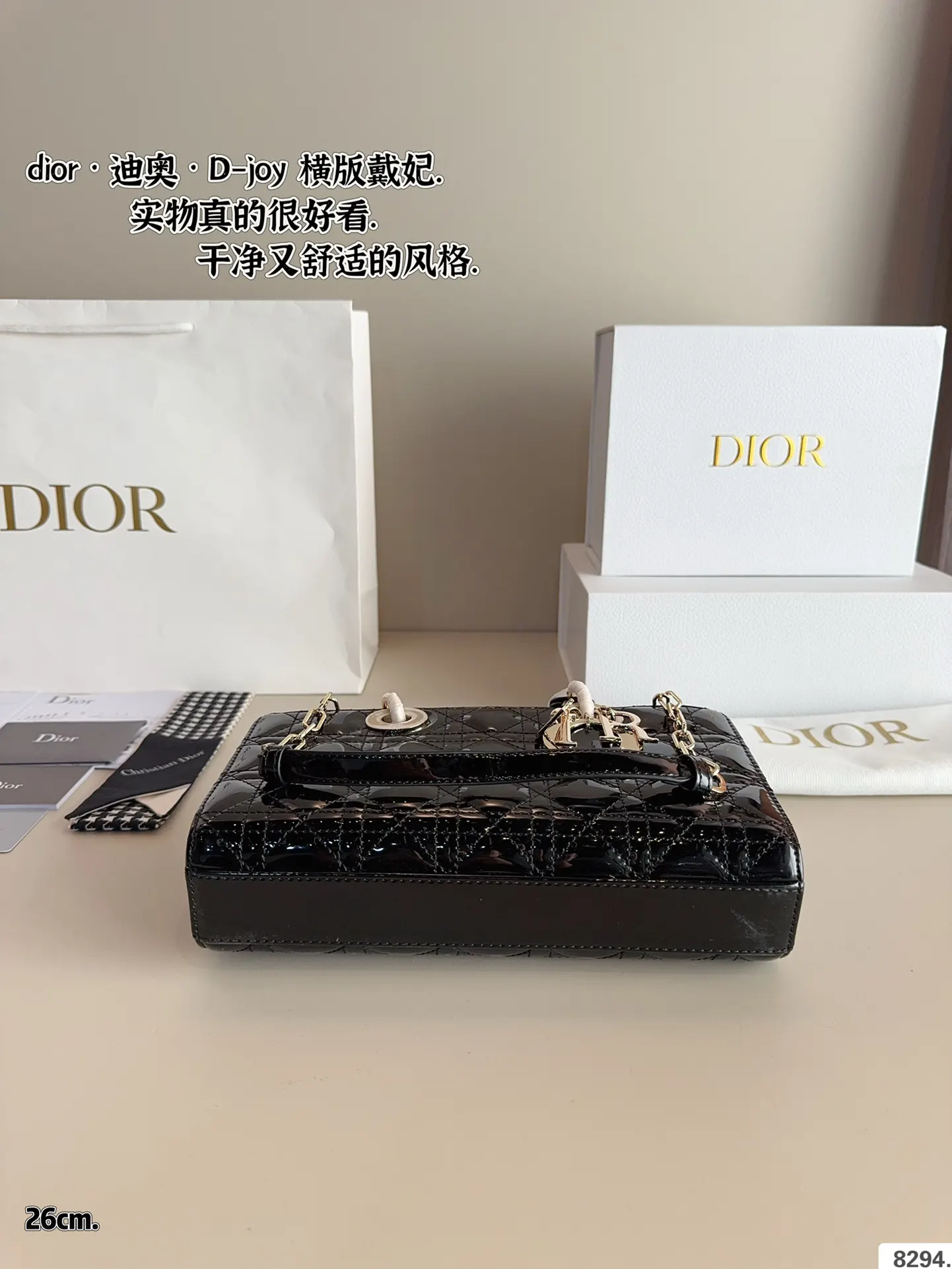 Dior 漆皮 全套 戴妃 横版 漆皮纹 夏日必备单 斜挎包 轻便斜挎款