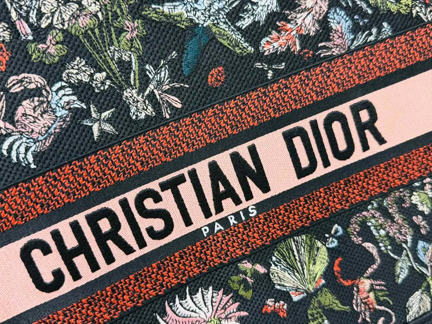 Dior Book Tote 刺绣 托特包