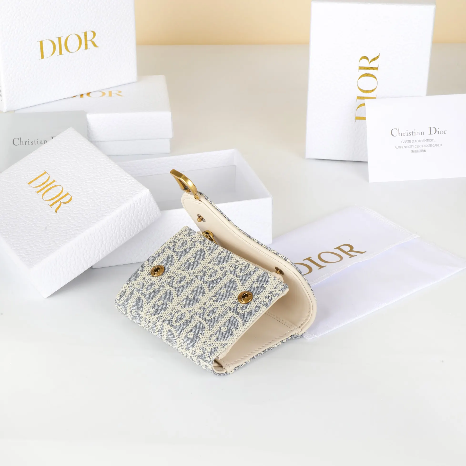 Dior Saddle 金色 钱包