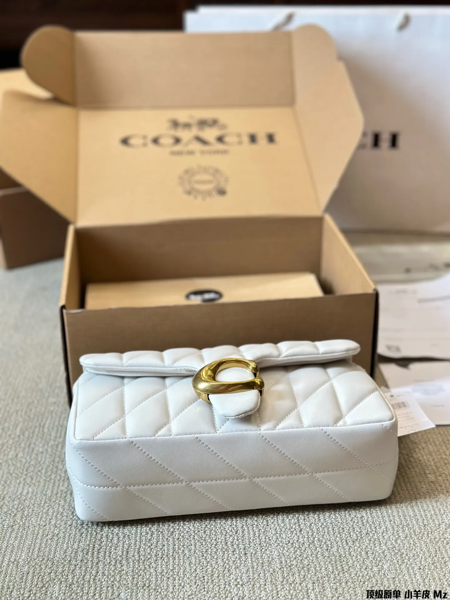 Coach 羊皮 小羊皮 All Black链条 腋下包 复古腋下背款
