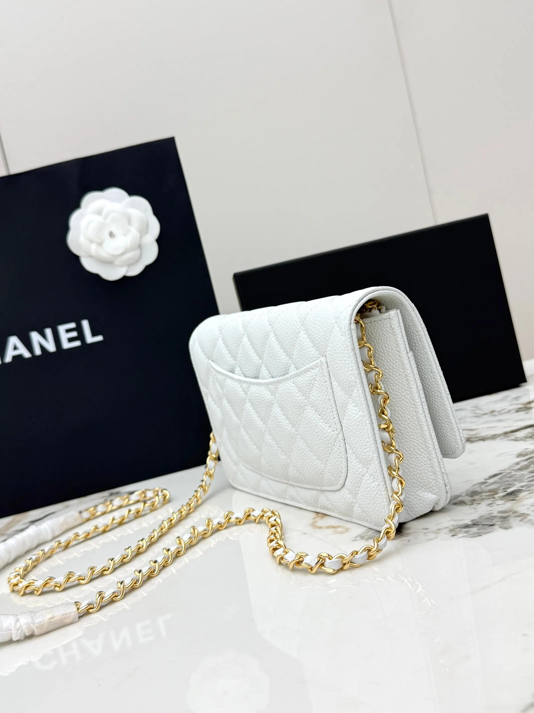 Chanel Chain Bag Leather