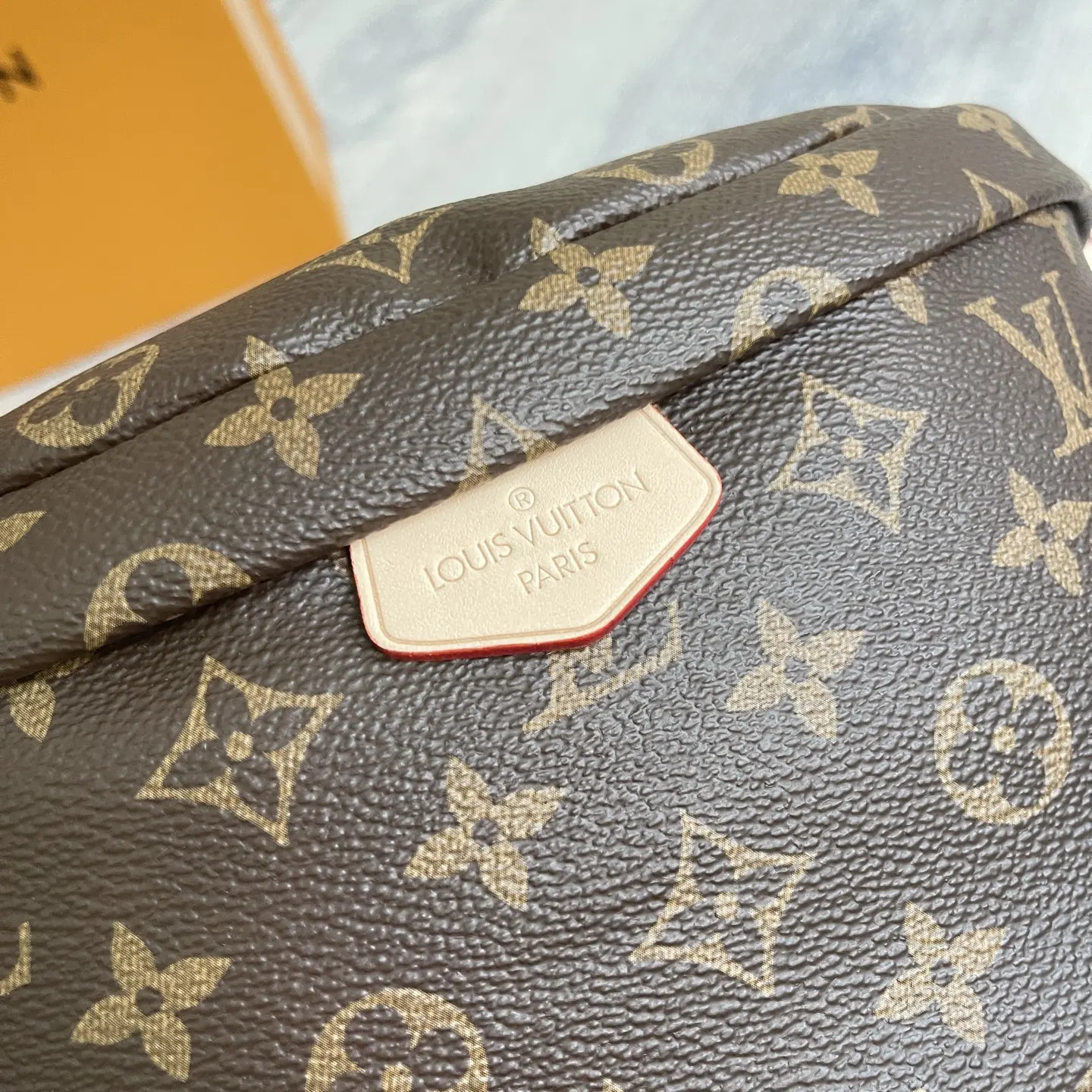 Louis Vuitton Gold Belt Bag Casual Leather