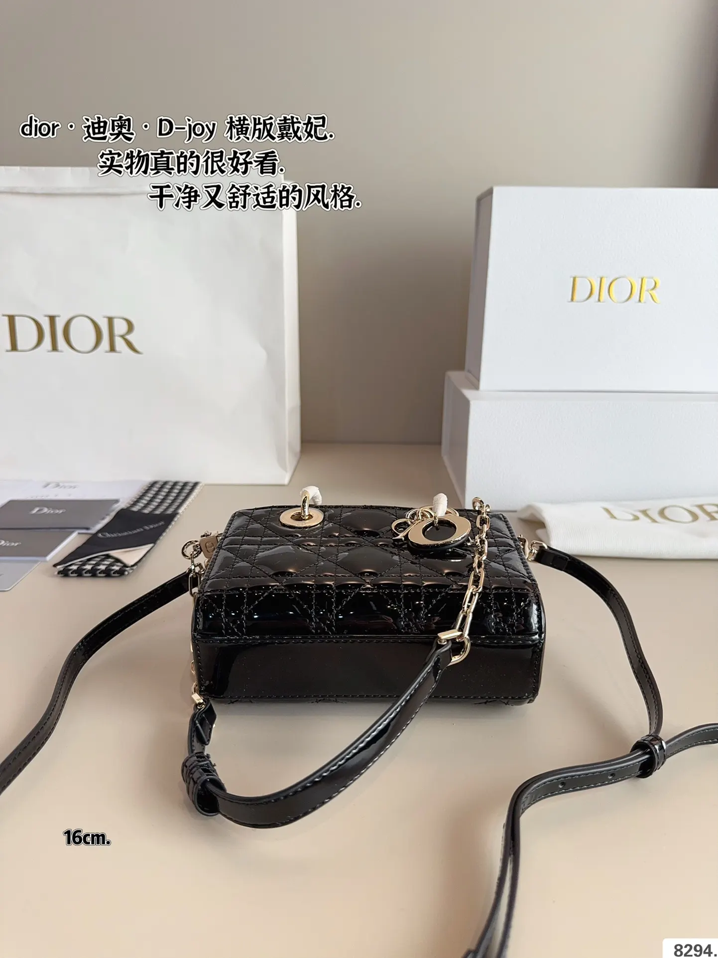 Dior 漆皮 全套 戴妃 横版 漆皮纹 夏日必备单 斜背包 輕便斜挎款