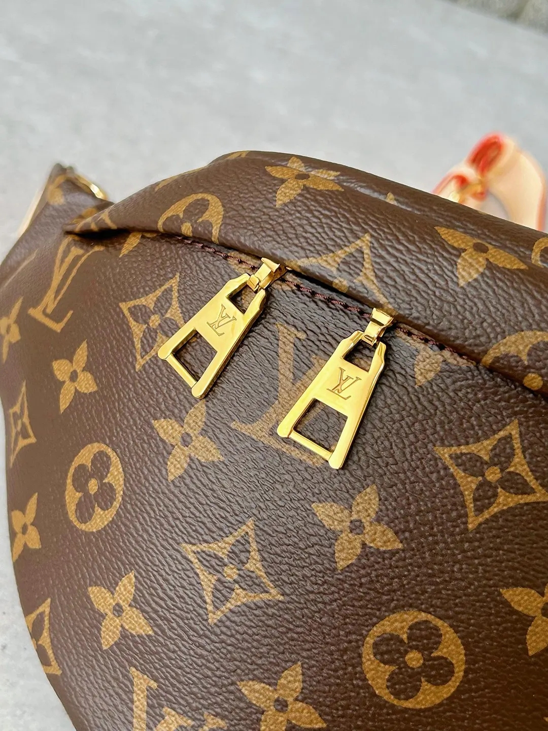 Monogram Belt Bag Casual Canvas