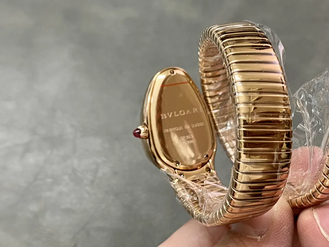 Bottega Veneta 手表 经典腕表款