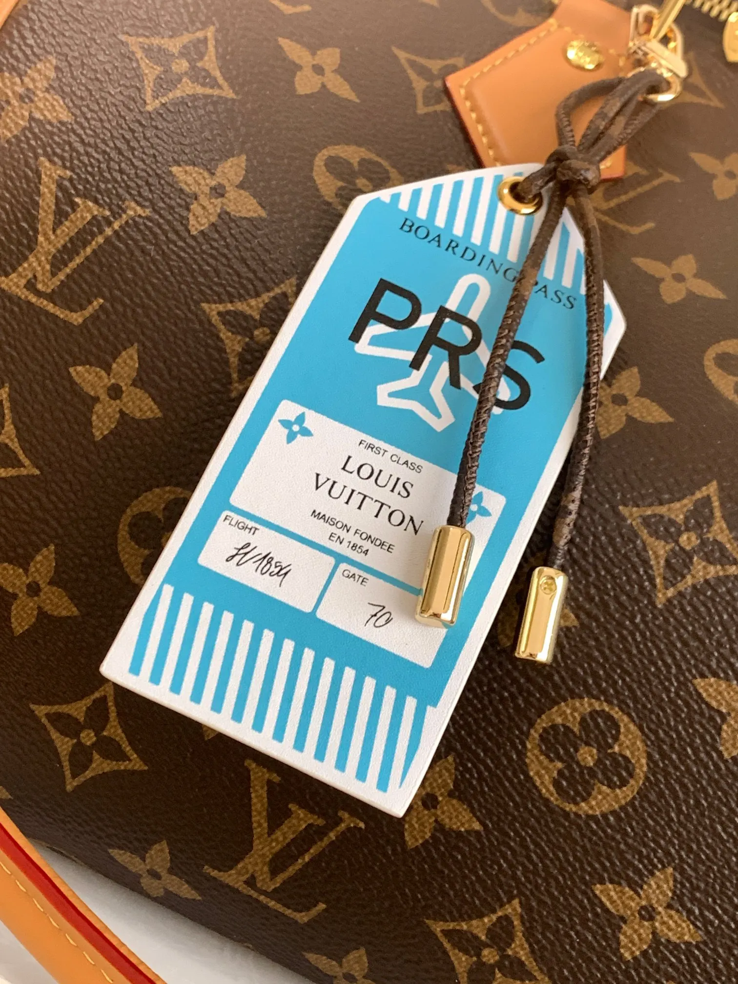 Speedy 老花 牛皮 收納包 旅行收納款