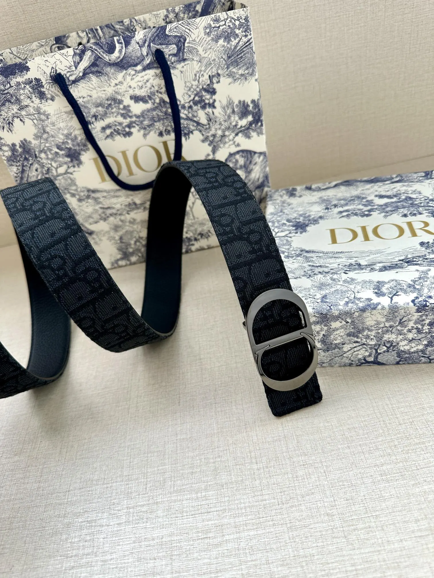 Dior Oblique 黑色/银色 腰带