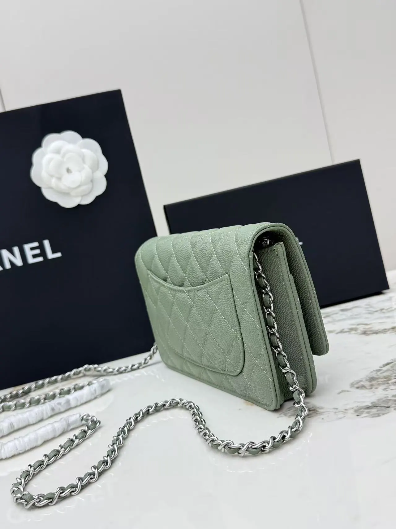 Chanel Chain Bag Leather