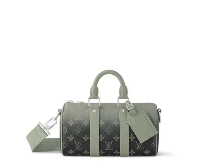 Louis Vuitton Reisetasche in Grün